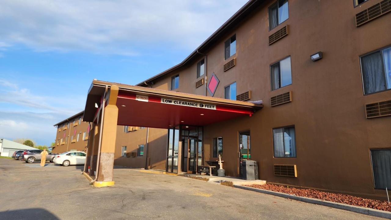 Hotel Grizzly